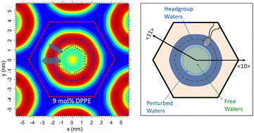 Graphical abstract: From angular to round: in depth interfacial analysis of binary phosphatidylethanolamine mixtures in the inverse hexagonal phase