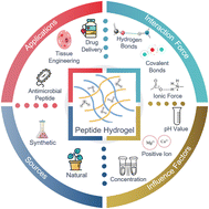 Graphical abstract: Mechanisms and influencing factors of peptide hydrogel formation and biomedicine applications of hydrogels