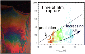 Graphical abstract: Lifetime of vertical giant soap films: role of the relative humidity and film dimensions
