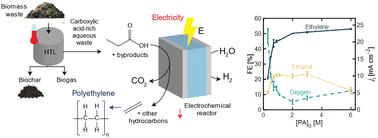 Graphical abstract: Understanding the electrocatalytic oxidation of propionic acid for the sustainable production of ethylene