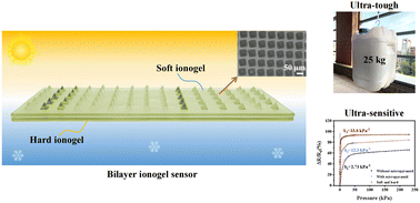 Graphical abstract: An ultra-tough and ultra-sensitive ionogel pressure/temperature sensor enabled by hierarchical design of both materials and devices
