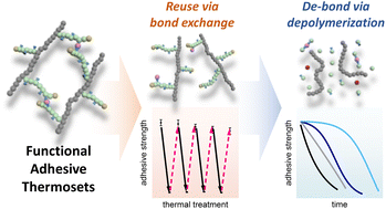 Graphical abstract: Grafting self-immolative poly(benzyl ether)s toward sustainable adhesive thermosets with reversible bonding and triggered de-bonding capabilities