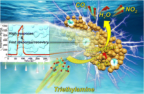 Graphical abstract: Unique Pd/PdO–In2O3 heterostructures for the highly efficient detection of triethylamine