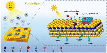 Graphical abstract: Modulating and optimizing 2D/2D Fe-Ni2P/ZnIn2S4 with S vacancy through surface engineering for efficient photocatalytic H2 evolution