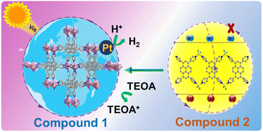 Graphical abstract: A strong-alkali resistant zinc–organic framework with 1,3,6,8-tetra(pyridin-4-yl)pyrene for efficient photocatalytic hydrogen evolution