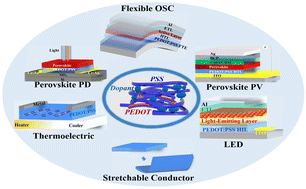 Graphical abstract: PEDOT:PSS materials for optoelectronics, thermoelectrics, and flexible and stretchable electronics