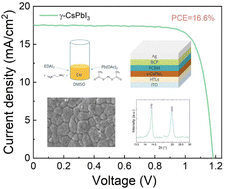 Graphical abstract: Towards low-temperature processing of efficient γ-CsPbI3 perovskite solar cells