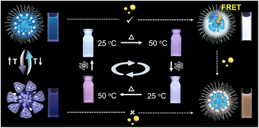 Graphical abstract: A temperature-responsive artificial light-harvesting system in water with tunable white-light emission