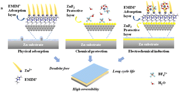 Graphical abstract: A physico-chemo-electrochemically coupled stable interface for high-capacity and durable aqueous zinc metal batteries