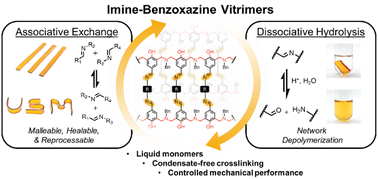 Graphical abstract: Solvent-free preparation of imine vitrimers: leveraging benzoxazine crosslinking for melt processability and tunable mechanical performance
