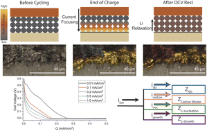 Graphical abstract: Interfacial dynamics of carbon interlayers in anode-free solid-state batteries