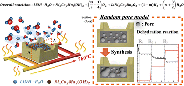 Graphical abstract: Dehydration kinetics of the synthesis of high-nickel cathode materials used in lithium ion batteries