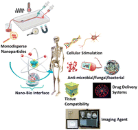 Graphical abstract: Active microfluidic reactor-assisted controlled synthesis of nanoparticles and related potential biomedical applications