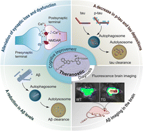 Graphical abstract: Multifunctional theranostic carbazole-based cyanine for real-time imaging of amyloid-β and therapeutic treatment of multiple pathologies in Alzheimer's disease