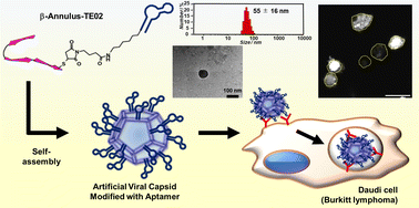 Graphical abstract: An artificial viral capsid decorated with a DNA aptamer internalizing into lymphoma cells