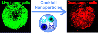 Graphical abstract: Theranostic inorganic–organic hybrid nanoparticles with a cocktail of chemotherapeutic and cytostatic drugs