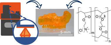 Graphical abstract: 3D printed and stimulus responsive drug delivery systems based on synthetic polyelectrolyte hydrogels manufactured via digital light processing