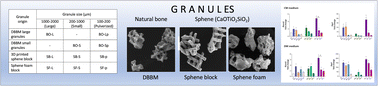 Graphical abstract: In vitro evaluation of granules obtained from 3D sphene scaffolds and bovine bone grafts: chemical and biological assays
