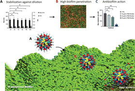 Graphical abstract: Polymyxin B stabilized DNA micelles for sustained antibacterial and antibiofilm activity against P. aeruginosa