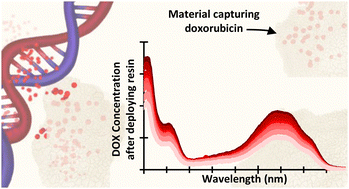 Graphical abstract: Polymer–nucleobase composites for chemotherapy drug capture