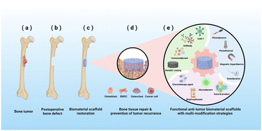 Graphical abstract: Functional anti-bone tumor biomaterial scaffold: construction and application