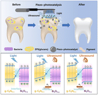Graphical abstract: Bifunctional defect mediated direct Z-scheme g-C3N4−x/Bi2O3−y heterostructures with enhanced piezo-photocatalytic properties for efficient tooth whitening and biofilm eradication