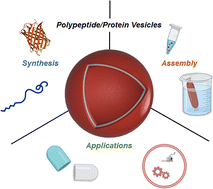 Graphical abstract: Rational design and engineering of polypeptide/protein vesicles for advanced biological applications