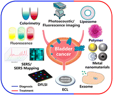 Graphical abstract: Application of nanotechnology in bladder cancer diagnosis and therapeutic drug delivery