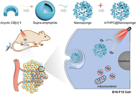 Graphical abstract: Acyclic cucurbit[n]uril-based nanosponges significantly enhance the photodynamic therapeutic efficacy of temoporfin in vitro and in vivo
