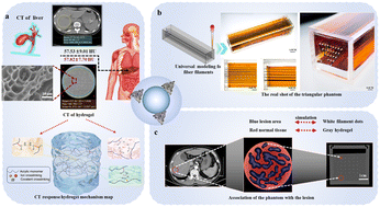 Graphical abstract: A novel CT-responsive hydrogel for the construction of an organ simulation phantom for the repeatability and stability study of radiomic features
