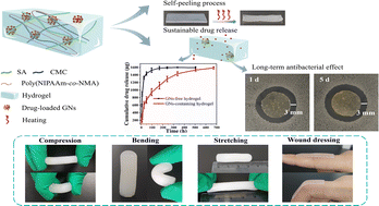 Graphical abstract: Vancomycin-loaded hydrogels with thermal-responsive, self-peeling, and sustainable antibacterial properties for wound dressing