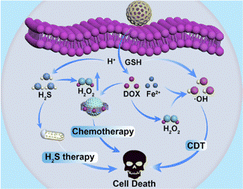 Graphical abstract: A tetrasulfide bond-bridged mesoporous organosilica-based nanoplatform for triple-enhanced chemodynamic therapy combined with chemotherapy and H2S therapy