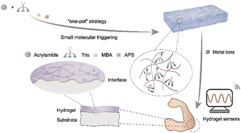 Graphical abstract: A facile strategy to fabricate a skin-like hydrogel with adhesive and highly stretchable attributes through small molecule triggering toward flexible electronics