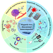 Graphical abstract: Magnetic two-dimensional nanocomposites for multimodal antitumor therapy: a recent review