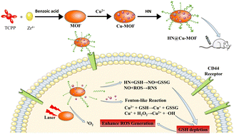 Graphical abstract: All-in-one HN@Cu-MOF nanoparticles with enhanced reactive oxygen species generation and GSH depletion for effective tumor treatment