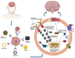 Graphical abstract: Nanomedicine facilitated cell signaling blockade: difficulties and strategies to overcome glioblastoma