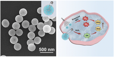 Graphical abstract: Platinum nanoparticle-anchored metal–organic complex nanospheres by a coordination–crystallization approach for enhanced sonodynamic therapy of tumors