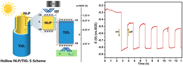 Graphical abstract: Designed a hollow Ni2P/TiO2 S-scheme heterojunction for remarkably enhanced photoelectric effect for solar energy harvesting and conversion