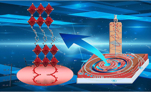 Graphical abstract: Polar 2D hybrid perovskite crystals with intrinsic strong linear dichroism for polarization-sensitive and self-powered detection