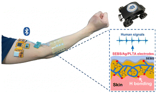 Graphical abstract: Screen printing of stretchable silver nanomaterial inks for a stable human–machine interface