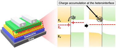Graphical abstract: Heterojunction oxide thin film transistors: a review of recent advances
