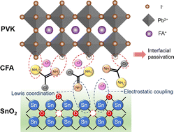 Graphical abstract: Chloroformamidine hydrochloride as a molecular linker towards efficient and stable perovskite solar cells