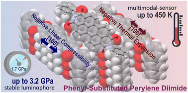 Graphical abstract: Unlocking the sensing potential of phenyl-substituted perylene diimides under extreme conditions