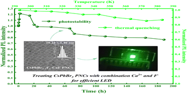 Graphical abstract: Construction of efficient and stable CsPbBr3 nanocrystals via calcium and fluorine ion combined-treatment for light-emitting diodes