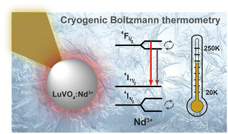 Graphical abstract: Boltzmann-type cryogenic ratiometric thermometry based on Nd3+-doped LuVO4 phosphors