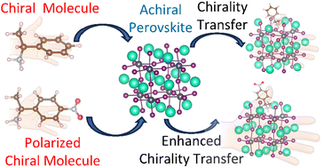 Graphical abstract: Molecular properties controlling chirality transfer to halide perovskite: computational insights