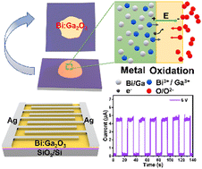 Graphical abstract: Liquid metal-based printing synthesis of bismuth-doped gallium oxide and its application for a photodetector
