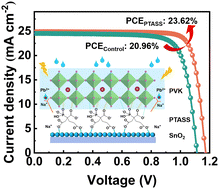 Graphical abstract: Simultaneously enhancing the performance of perovskite solar cells and suppressing lead leakage via an interface modification strategy