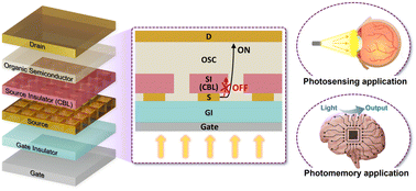 Graphical abstract: Engineered current path of vertical organic phototransistors for smart optoelectronic applications