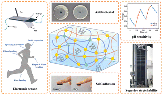 Graphical abstract: A mussel-inspired semi-interpenetrating structure hydrogel with superior stretchability, self-adhesive properties, and pH sensitivity for smart wearable electronics